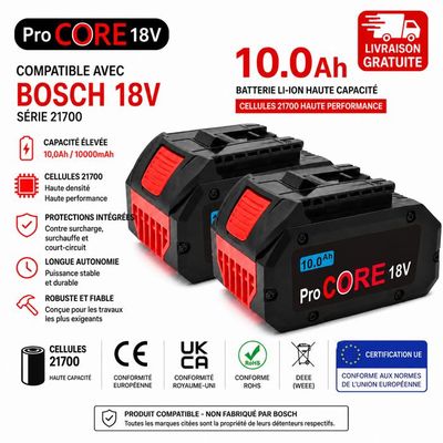 18V 10.0Ah 高容量电池 · 2 只装